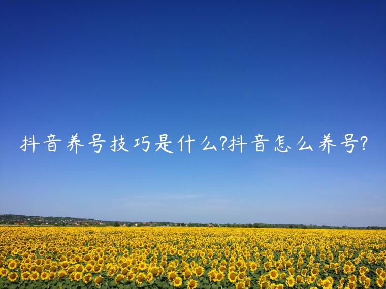 抖音養(yǎng)號技巧是什么?抖音怎么養(yǎng)號?